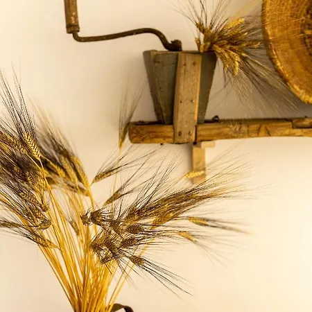 Bed and breakfast Crobi Museum And