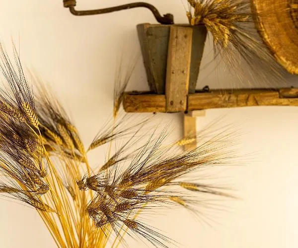 Bed & Breakfast Crobi Museum And